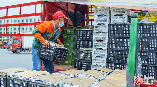 首衡高碑店農副產品物流園 邁向現代食品商貿物流產業(yè)集群的典范